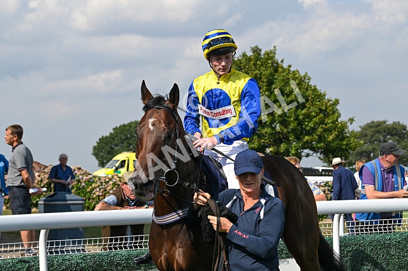 240825-Race 2-Smart Vision-2060 - Race 2