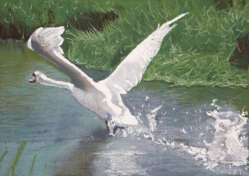 Bumpy Landing - Paintings