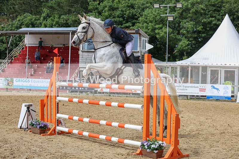 3E7A7545 - Class 9: Senior Foxhunter/1.20 open