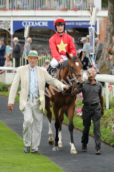 yr19082022r4-94 - Race 4 3.35pm Coolmore Wootton Bassett Nunthorpe Stakes (British Champion Series Race)