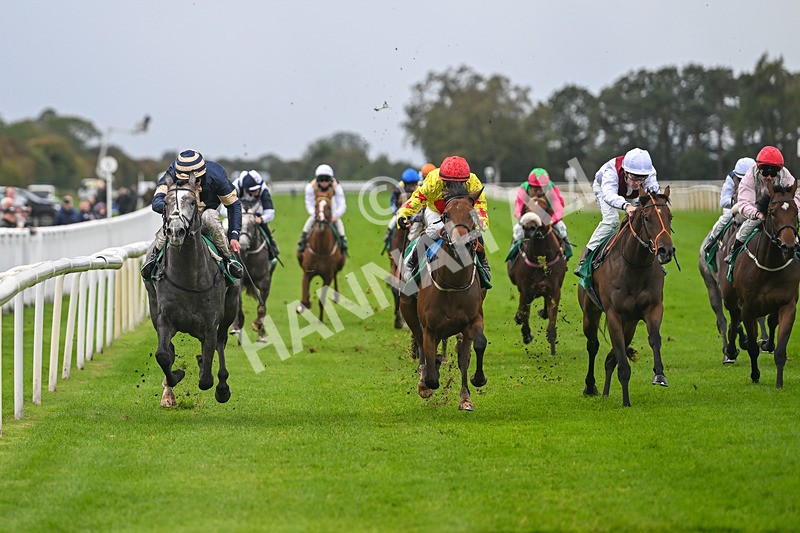 150925-Race 2-Rum Therapy-2379 - Race 2