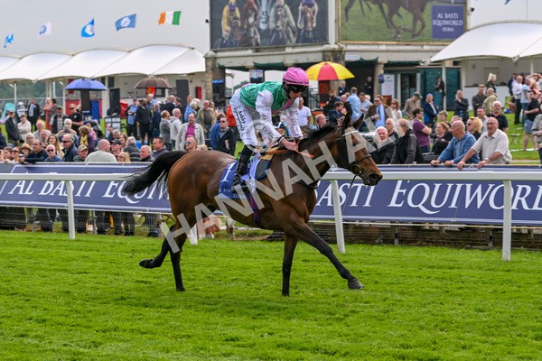 160524-Race 3-Bluestocking-5661 - Race 3 3.15pm  Al Basti Equiworld Dubai Middleton Fillies' Stakes