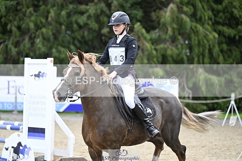 251005A-130242-04019 - Cls 08 Mini 70-75cm