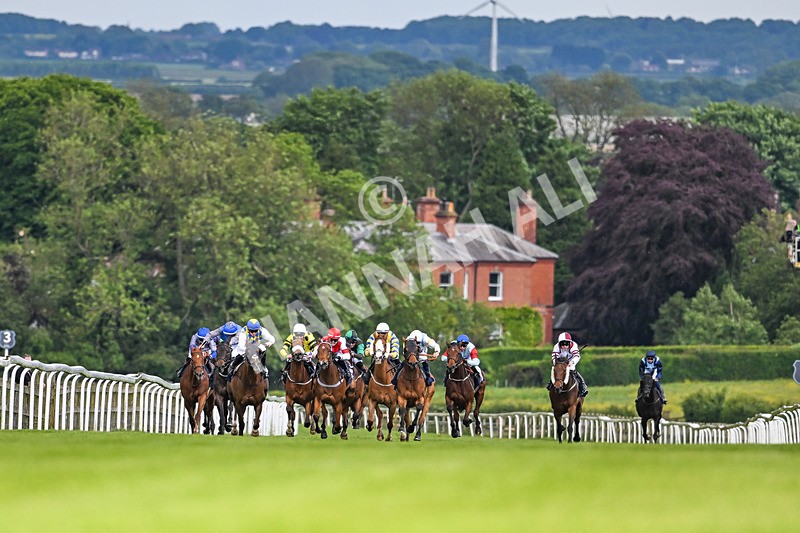 290524-Race 5-Distinction-6535 - Race 5