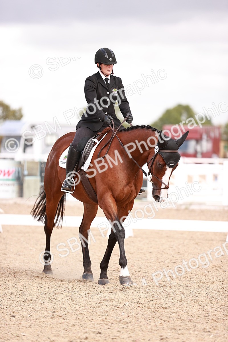 SBM_04100 - Class 36 - Prelim 5