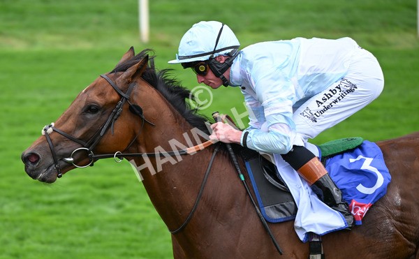 200825-107 Pride Of Arras - Race 3 3.00pm Sky Bet Great Voltigeur Stakes
