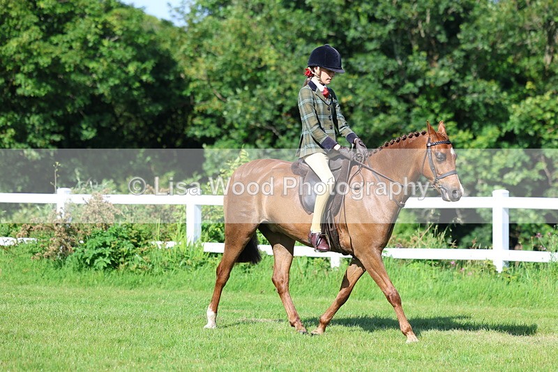 3E7A5946 - Class 27: Novice Working Hunter Pony