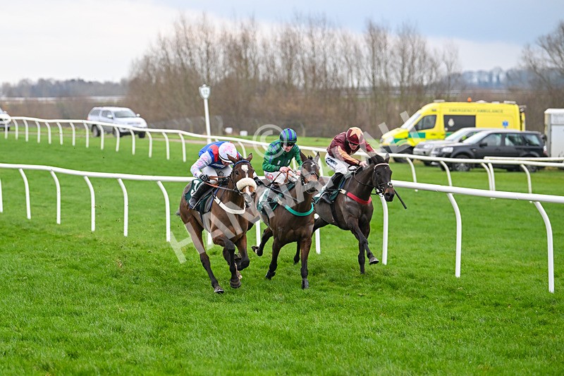 171224-Race 5-Wrappedinrubies-3429 - Race 5