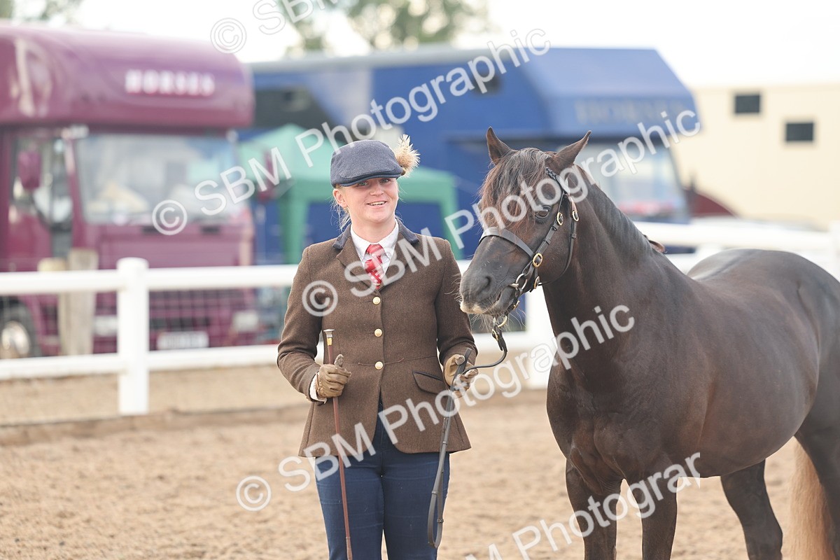 SBM_08510 - Class 29 - IH Veteran Pony