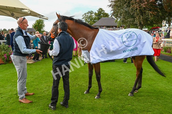 220824-Race 6-Angel Hunter-7590 - Race 6 4.45pm sensory-junction.co.uk Autism Awareness EBF Stallions Nursery Handicap