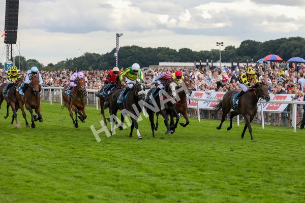 270724-Race 7-Finn Ironside-4835 - Race 7 5.40pm Sky Bet Extra Places Every Day Handicap