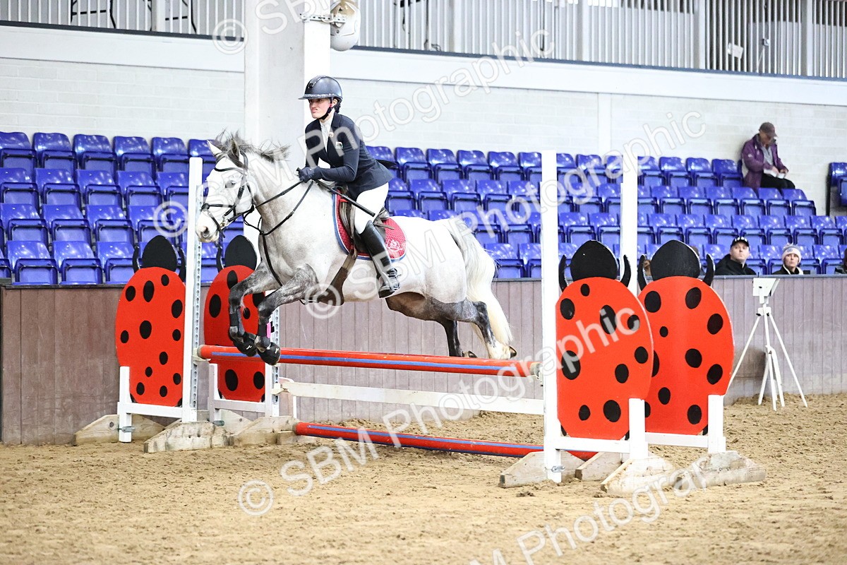 SBM_001425 - Class 9 - Pony British Novice 80cm