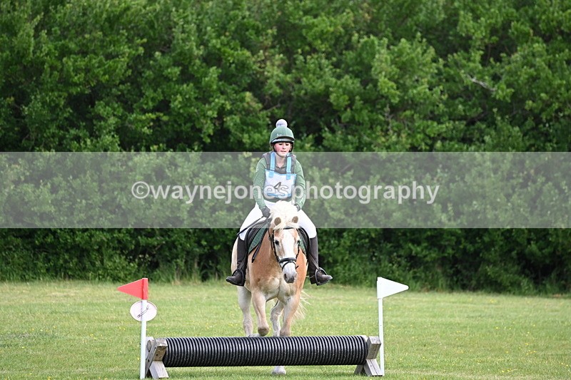 WJ6_2273 - Class 2 40cm