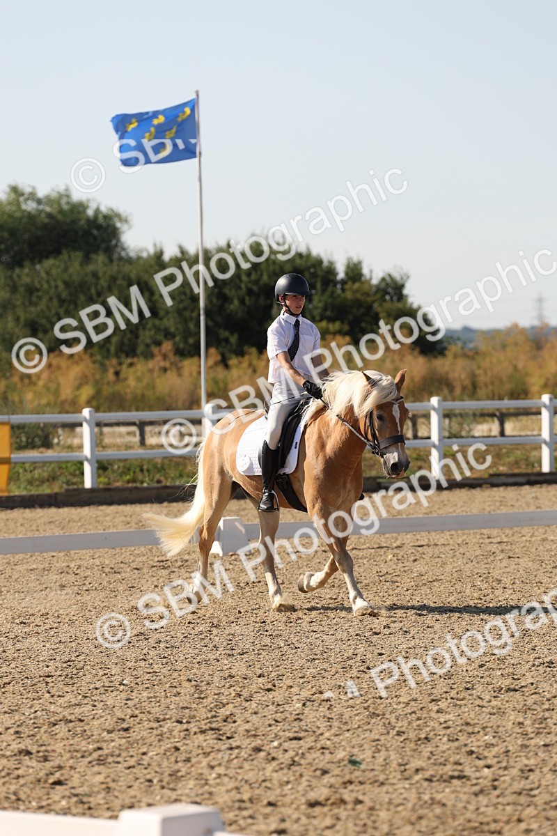 SBM_006928