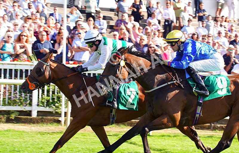 240726-Race 7-Sunlit Sea-01967 - Race 7 17.27pm Racing Excellence Apprentice Handicap