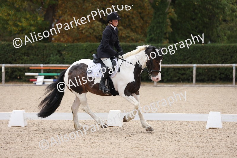 20250819-1185 - Class 3 - Prelim 2