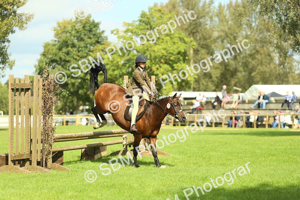 SBM_44586 - S31 - Working Hunter Pony