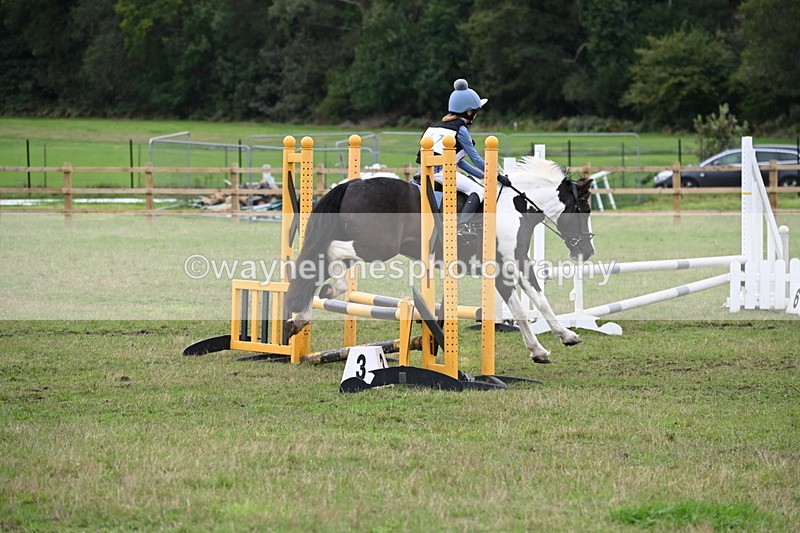 WJ6_1894 - 60cm Time 12:30 to 12:49