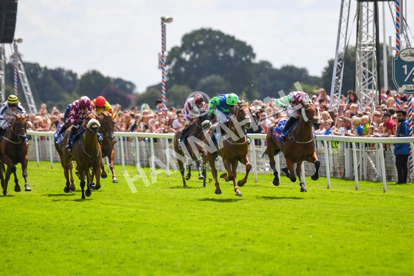 290723-Race 1-Soul Seeker-0251 - Race 1 2.05pm Sky Bet 'Jump Jockeys' Nunthorpe' Handicap