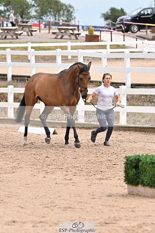 250716-144036-01293 - Trot Up 2.30 to 3.30