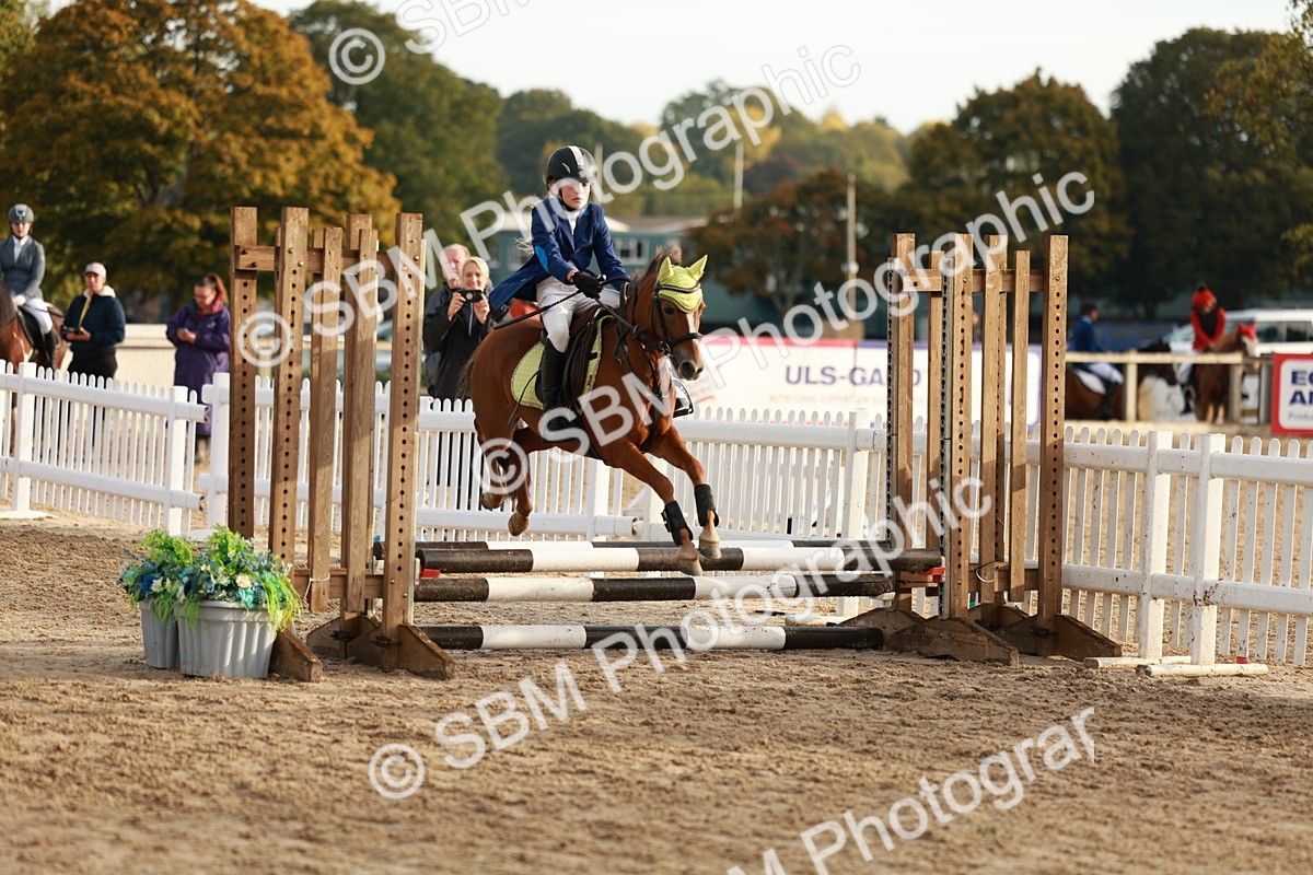 SBM_55442 - J11 - Junior Pony 50cm Championship