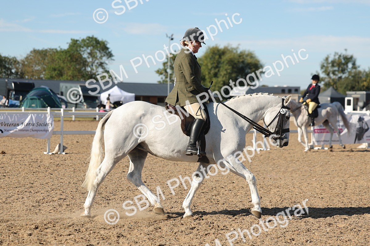 SBM_12183 - Class 303 - Ridden Pure Bred Horse Pony