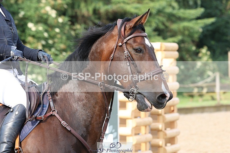 230617-083329-00277 - Cls 08a Pony 1.05