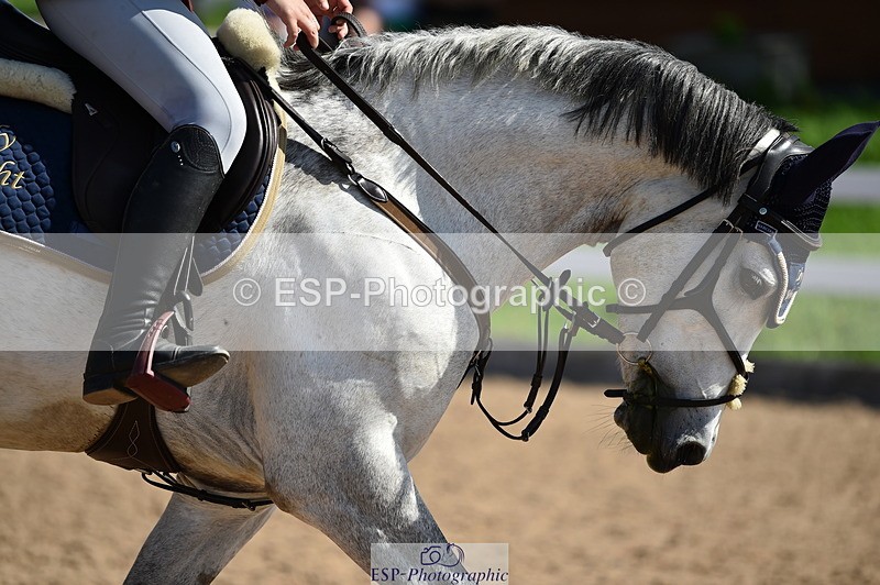 230903A-122330-04453 - Cls 19 Pony Discovery & 90cm Open