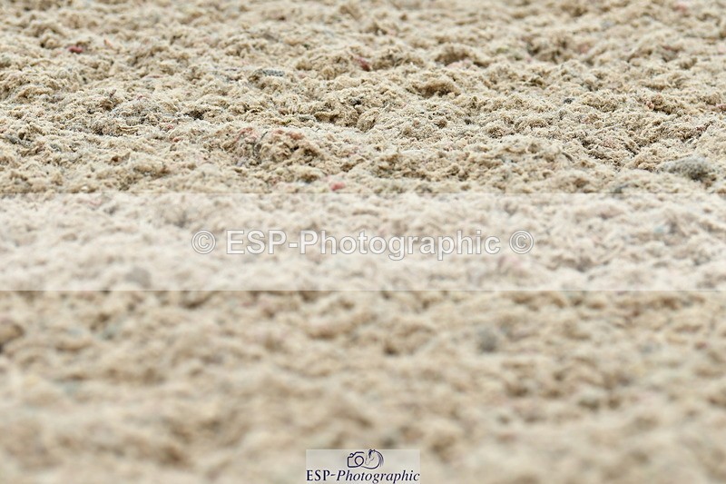 230630A-130827-02305 - Cls 8 Elementary 57