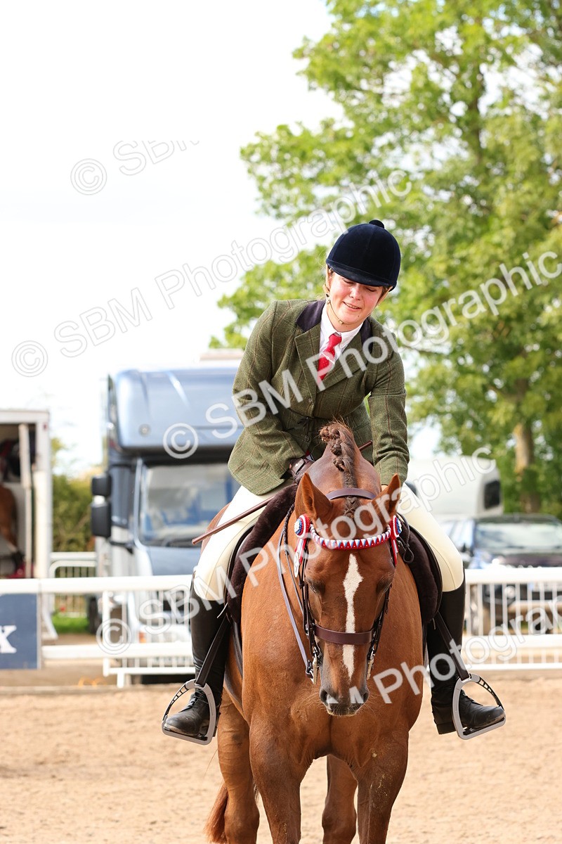 SBM_14159 - Class 213 - Ridden Hack Riding Horse