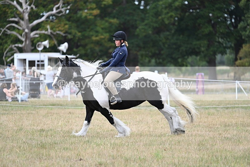 WJ7_5125 - Class 12 Ridden Cob