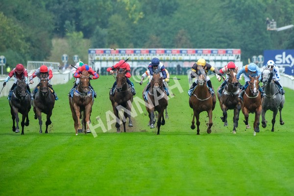 080925-Race 2-Alzahir-7764 - Race 2 3.00pm Sky Bet Super Sub Sprint Handicap