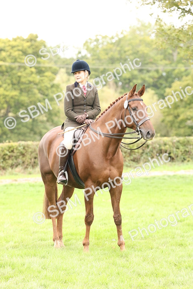 SBM_66393 - S66 - Hunter Ridden