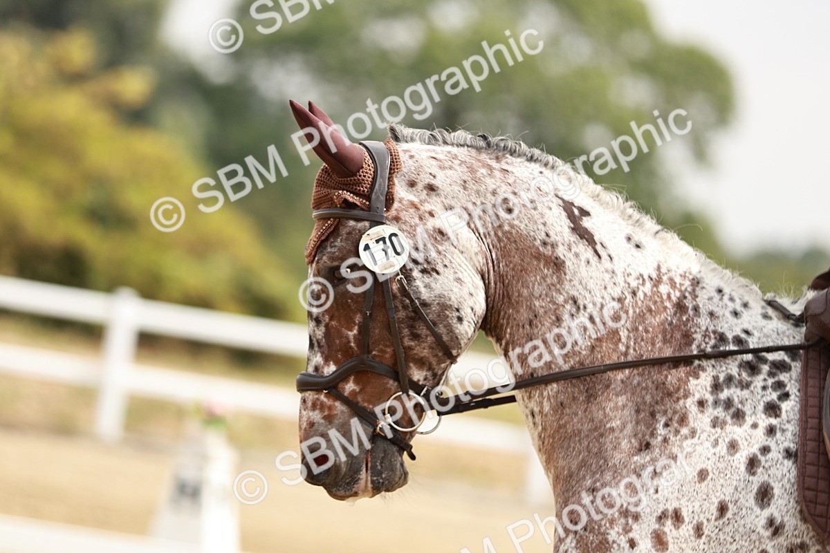 SBM_002732 - Class 6 - Novice 6 Silver - 10.17-11.20