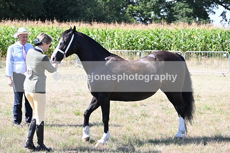 WJ6_4862 - Class 17 Mountain & Moorland
