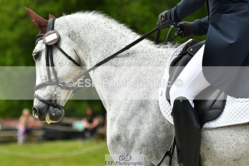 230525-114553-04097 - 203-DHI_CHILLI_START-Sophie_Hodgson-WEDTrotUp+DR