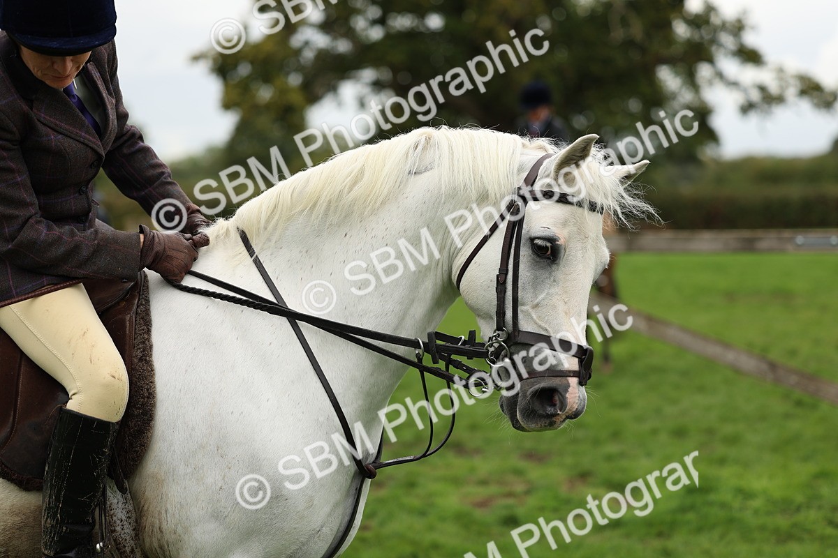 SBM_41816 - S32 - Mountain & Moorland Working Hunter Pony