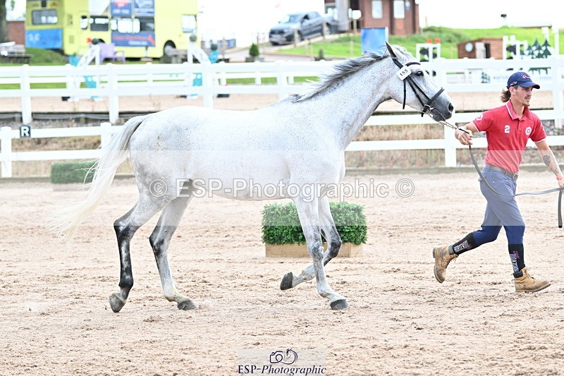 240717A-143913-02165 - Trot Up 2pm to 3pm - This folder is not in time order