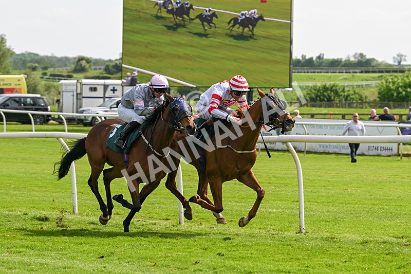 130524-Race 3-Animato-0262 - Race 3