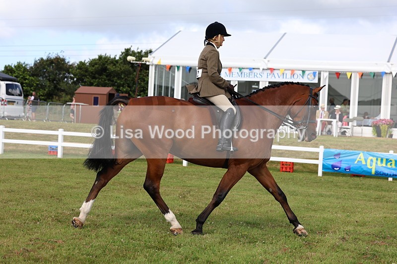 3E7A9484 - Class 4: Rising Star M/H Hunter