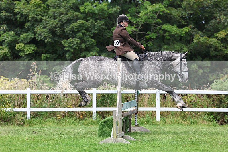 3E7A8859 - Class 6: Open Working Horse