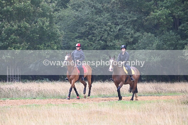 DSC_1202 - Time at Statue 11:54 to 12:12