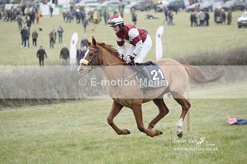 PtP 040323 442 - Duke of Beauforts Hunt Point-to-Point Didmarton 04/03/23