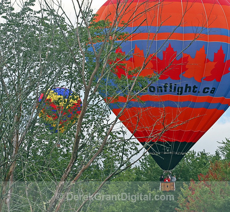 Atlantic International Balloon Festival - Atlantic International Balloon Fiesta
