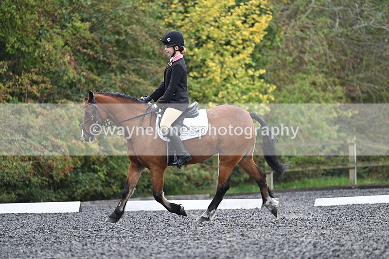 WJ7_3927 - Time 11:04 to 11:38