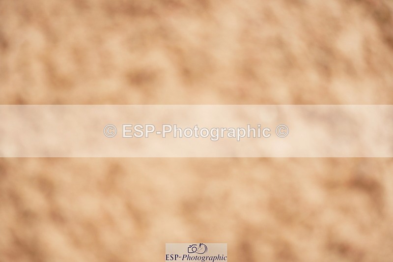 240524A-100302-02655 - Cls 13 Snr 1.05m and 1.10m