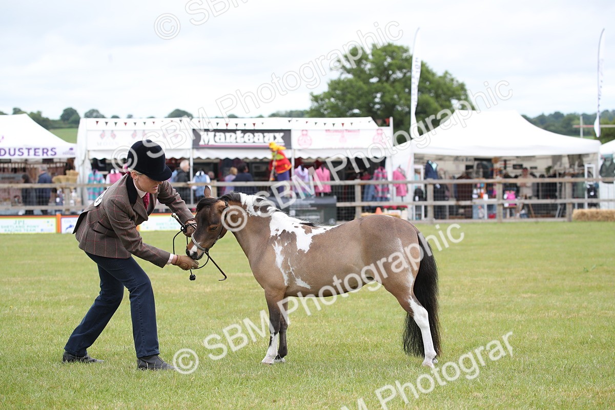 SBM_03973 - Class 23-25 - British Miniature Horse of the Year