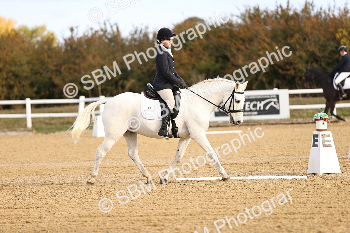 SBM_009008 - Class 2 - P5