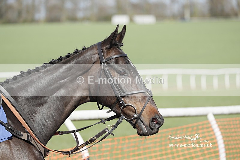 PtP 100423 818 - Old Berkshire Point-to-Point Lockinge 10/04/23