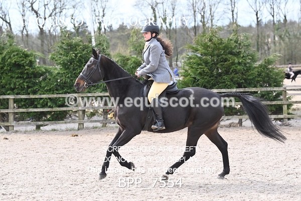 BPP_7554 - RING 1  (RIDDEN HORSES / IN HAND / VETERAN ETC)